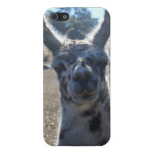 Hallo Mutter! Lama iPhone Fall iPhone 5 Cover