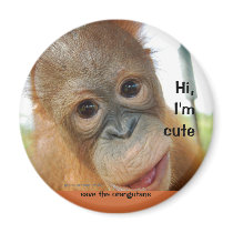 Hallo niedlicher Baby-Orang-Utan