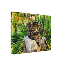 Haltungs-Katze Galerie Gefaltete Leinwand