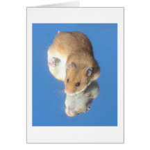 hamster cartes de vœux