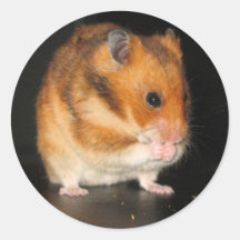 Hamsteraufkleber