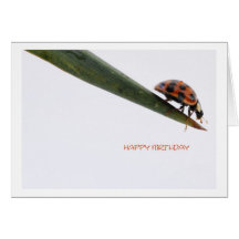 Happy Birthday Card Ladybird Grußkarte