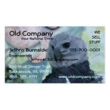 Harpy Eagle Visitenkartenvorlage