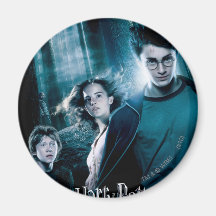 Harry Potter Ron Hermione im Wald Magnete