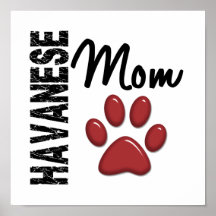 Havanese Mamma 2 Poster