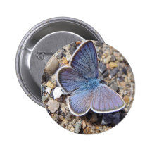 Hellblauer Schmetterling Buttons