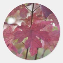 Herbst-Brise ~ Umschlag Aufkleber