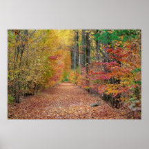 Herbst-Halle Posterdrucke