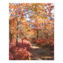Herbst in Neu-England 27 ~ Foto