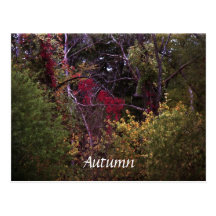 Herbst Postkarte