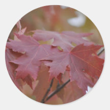 Herbstfarben ~ Umschlag Aufkleber
