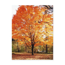 Herbstlaub-Danksagungs-Postkarte