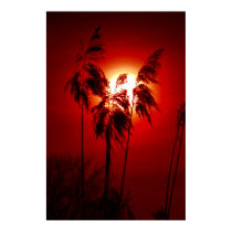 Herrlicher die Schweiz-Sonnenuntergang hinter eini poster