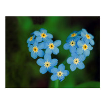 Herz-geformte Vergissmeinnicht-Blumen Postkarte