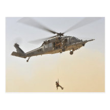HH-60 pavent le faucon Carte Postale