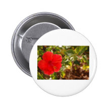 Hibicus Badge