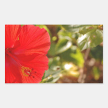 Hibicus Stickers Rectangulaires