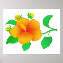 Hibiskus Plakatdruck