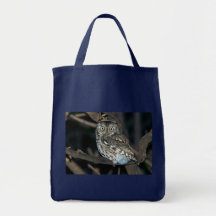 Hibou de cri strident oriental observé par jaune à sac de toile