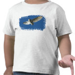 Hibou de grange dans le vol de jour t-shirts