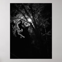Hinter dem Blätter Posterdrucke