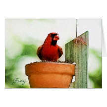 Hinterhof-Vögel Notecards Karte