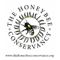 Honigbienen-Erhaltungsdamenhemd
