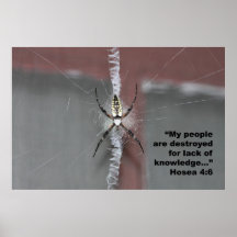 Hosea 4:6 Schrifts-Plakat, Version B