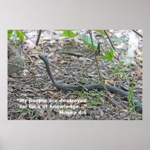 Hosea 4:6 Schrifts-Plakat, Version C