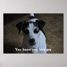 Hund, kennen Sie Sie Liebe ich Plakatdrucke