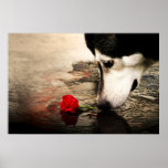 Hunde-und Rosen-Plakat