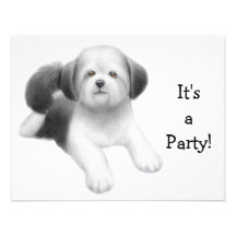 Hundeeinladung Shih Tzu