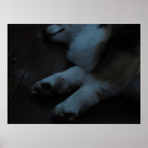 Hundstage des Sommers Posterdrucke