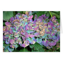 Hydrangea, Fall-Regenbogen Grußkarten