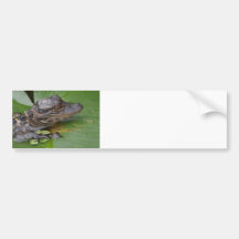 I Liebe Lilly Auto Sticker