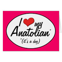I Liebe mein anatolisches (es ist ein Hund) Grußkarte