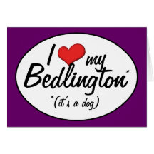I Liebe mein Bedlington (es ist ein Hund) Grußkarte