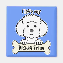 I Liebe mein Bichon Frise Magnete