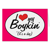 I Liebe mein Boykin (es ist ein Hund) Karten