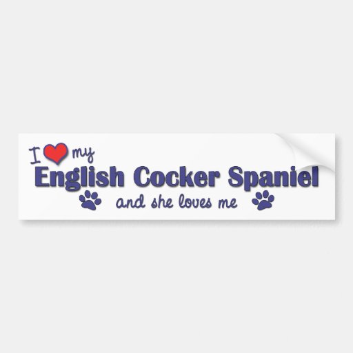 I Liebe mein englischer Cockerspaniel (weiblicher  Autoaufkleber