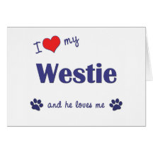 I Liebe mein Westie (männlicher Hund) Grußkarte