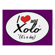 I Liebe mein Xolo (es ist ein Hund) Grußkarten