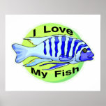 I Liebe meine Fische Plakatdruck