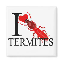 I Liebe-Termite-Magnet