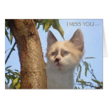 I miss you karte