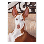 Ibizan Jagdhund-Kunst-Gruß-Karte