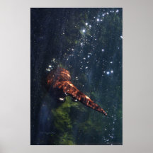 Ich bin so Outa hier Poster