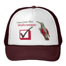 Ich habe den des Wallcreeper der Karo-Kasten Vogel Tuckercaps