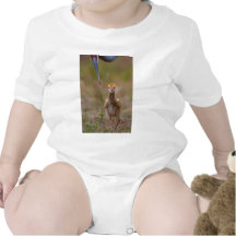 Ich kann es tun! tshirts