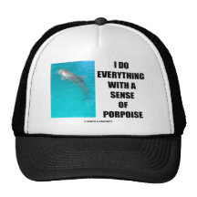 Ich tue alles mit einer Richtung des Tümmlers (Zwe Baseball Caps